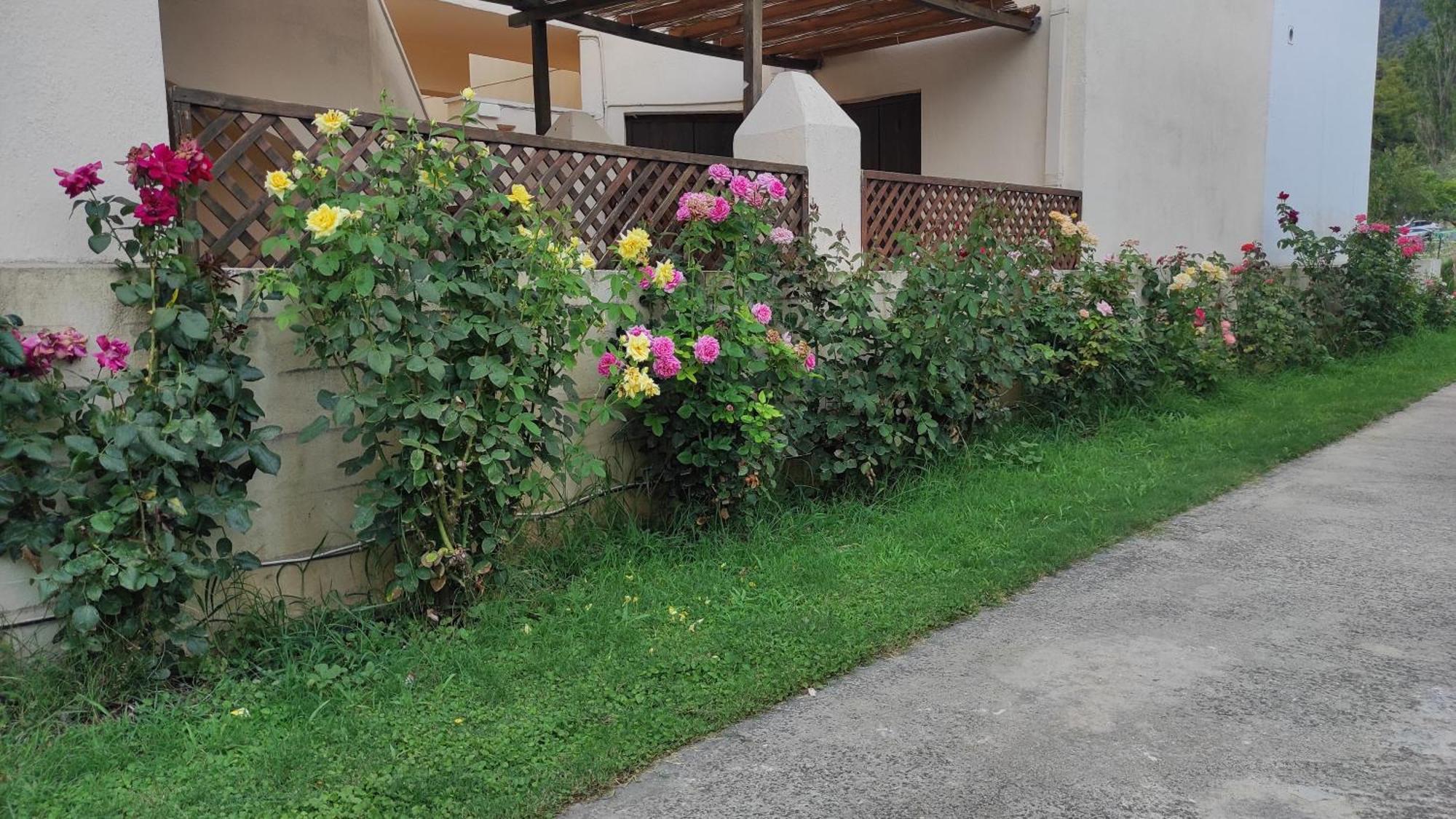 Kallisti Seaside Studios Skopelos Agnontas Exterior foto